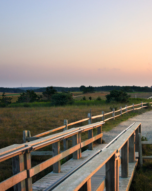 30 Best Things to Do on a Rainy Day on Cape Cod