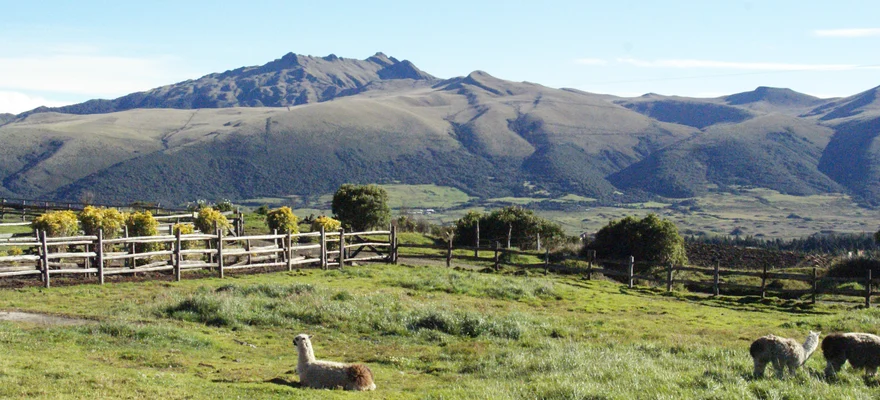 Cotopaxi National Park