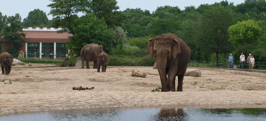 Tierpark Berlin