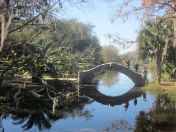 New Orleans City Park Tours & Tickets