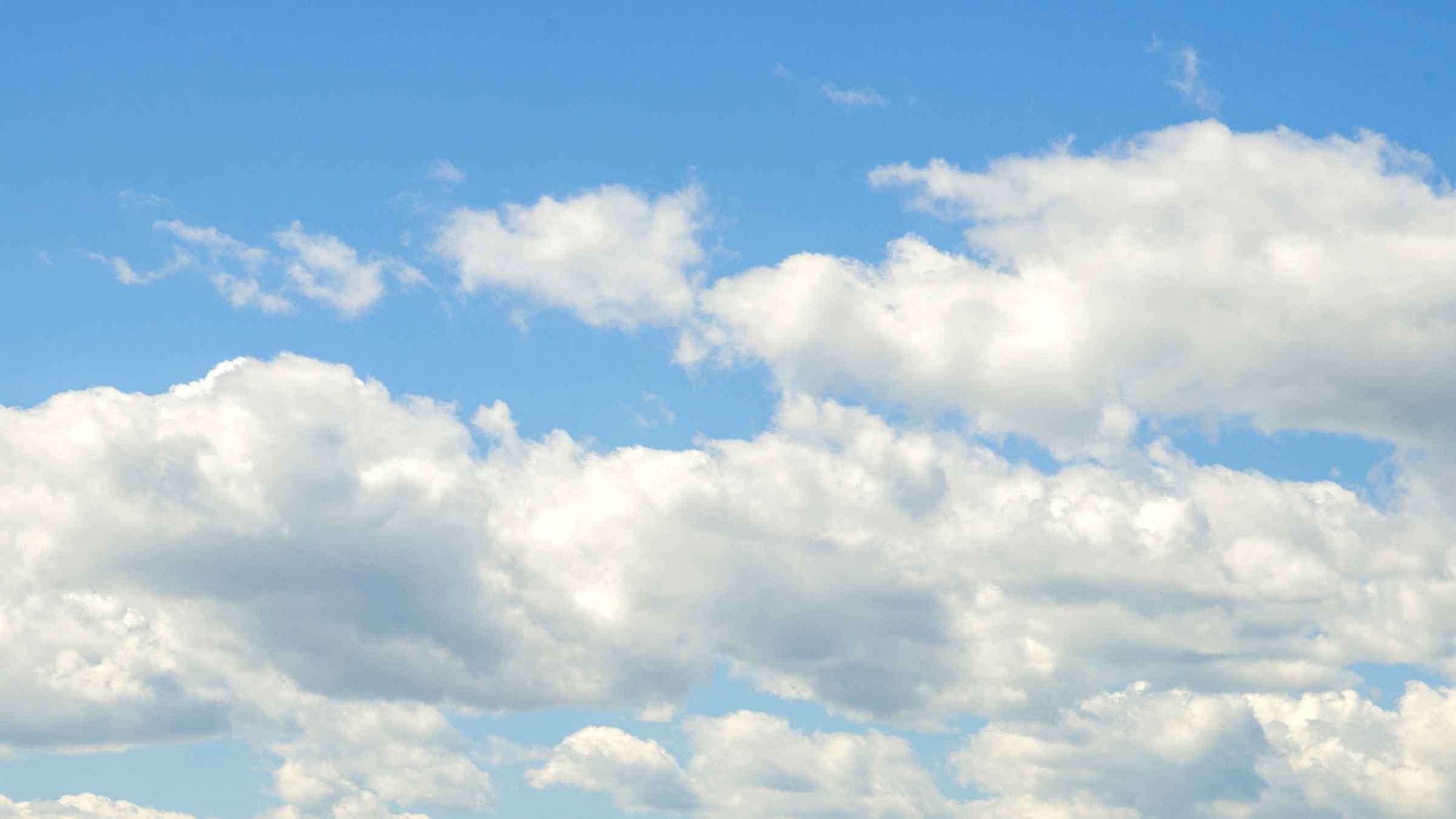 TOP Muzeum Historii Naturalnej w San Diego dla par 2022 – DARMOWA