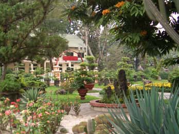 Saigon Zoo and Botanical Gardens
