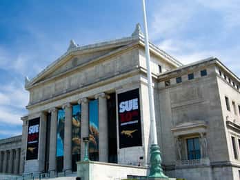 Museo Field de Historia Natural