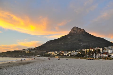 Lion's Head