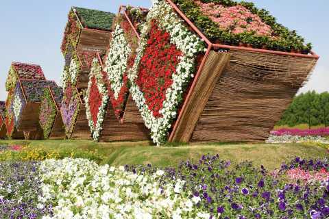 Dubai Miracle Garden: A Virtual Tour To World's Largest Flower Garden