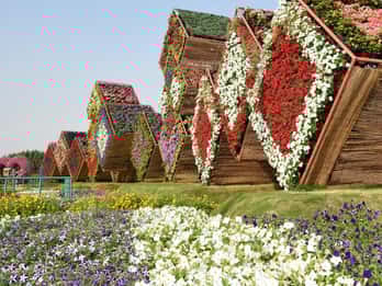 Miracle Garden Tours & Tickets