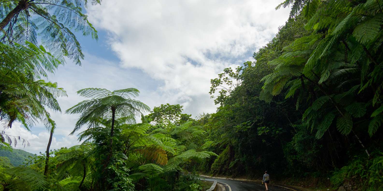 el yunque rainforest atv tour