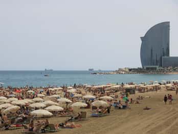 La Barceloneta Tours & Tickets
