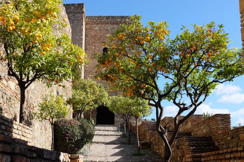 Alcazaba (Málaga)