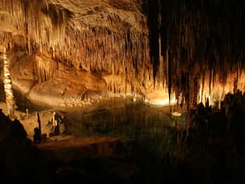 Cuevas del Drach Tours & Tickets