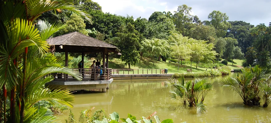 Singapore Botanic Gardens