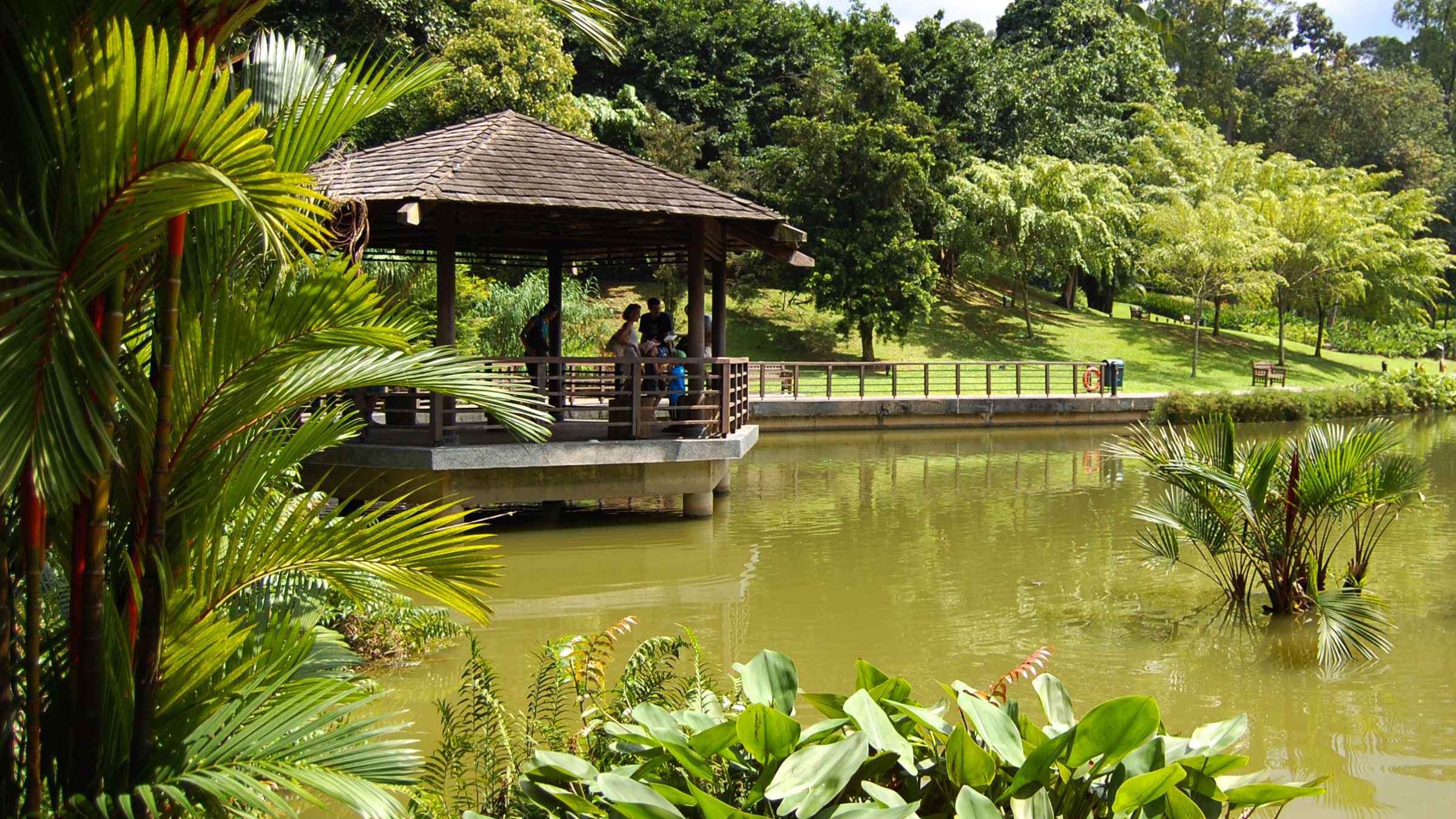  Jardins  botaniques  de Singapour  Singapour  R servez des 