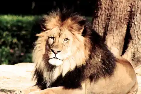 9. Warsaw Zoo