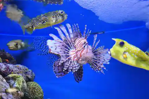 8. New England Aquarium