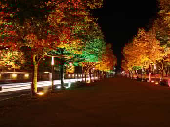 Unter den Linden Unter den Linden