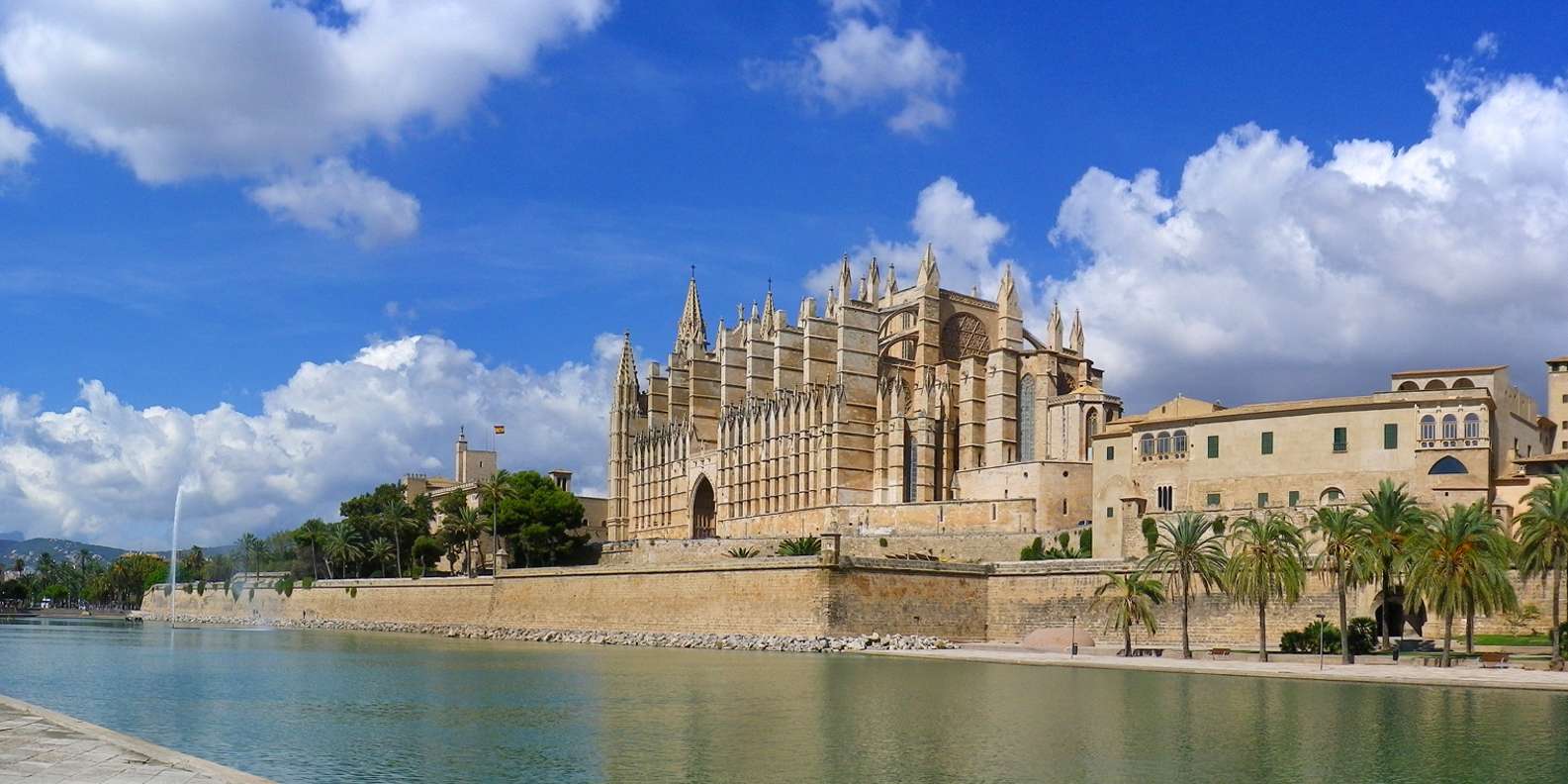 The BEST Palma Cathedral Safaris & wildlife activities 2023 - FREE ...