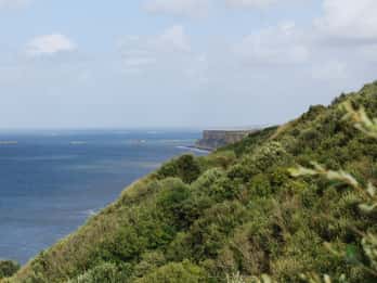 Arromanches Tours & Tickets
