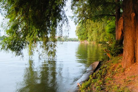 Parque Herastrau