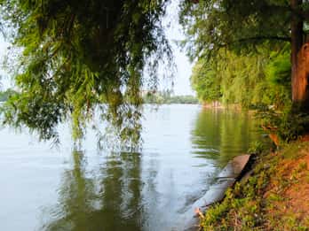 Parco Herăstrău Parco Herăstrău