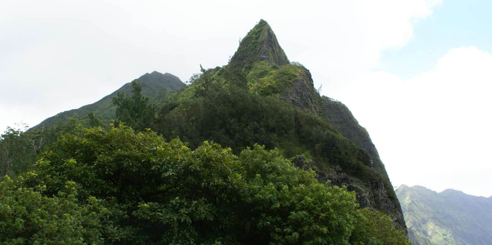The BEST Nuuanu Pali Lookout Sightseeing On Wheels 2023 FREE
