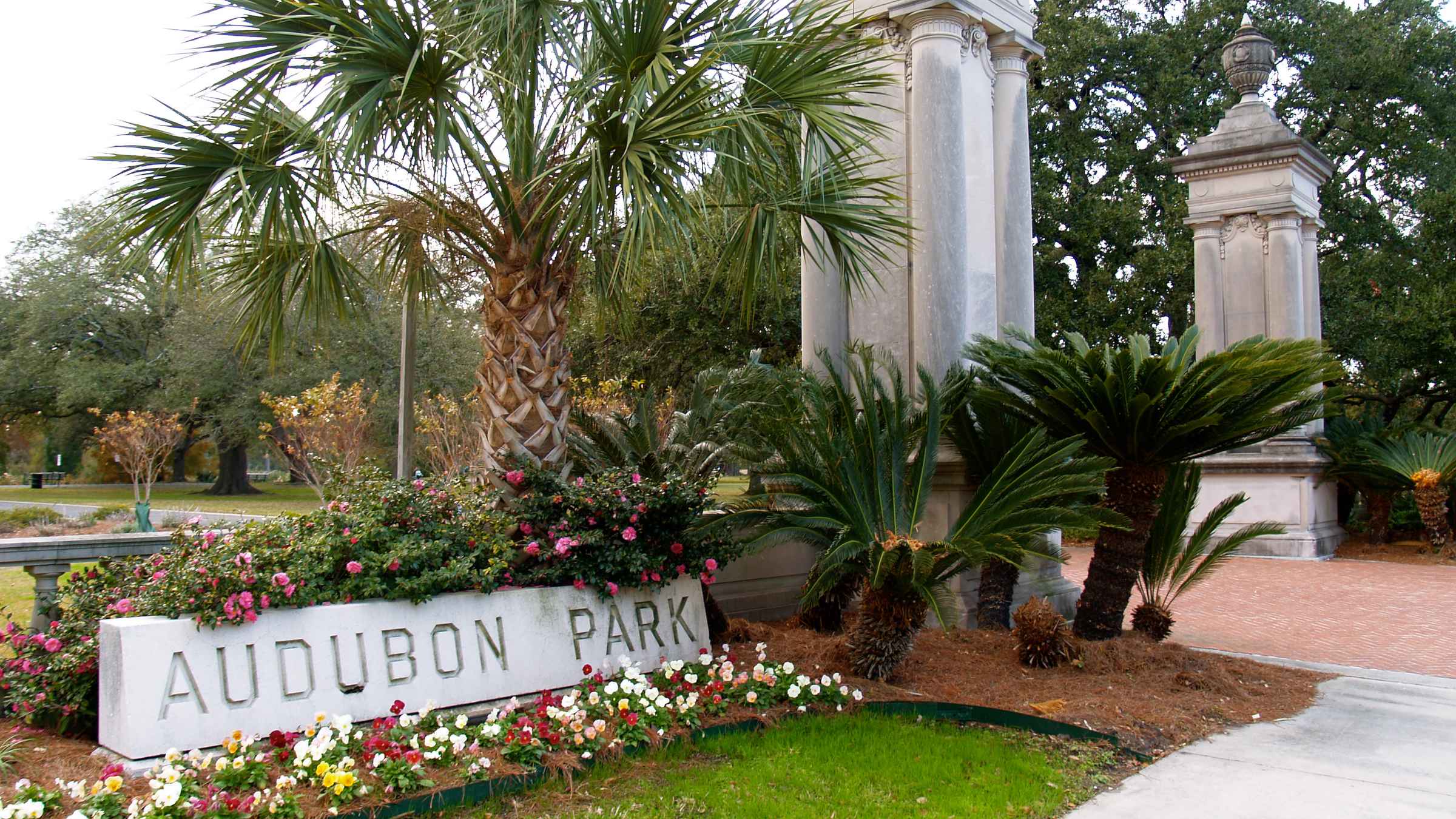 The BEST Audubon Park New Orleans Urban Exploration 2022 FREE   88 