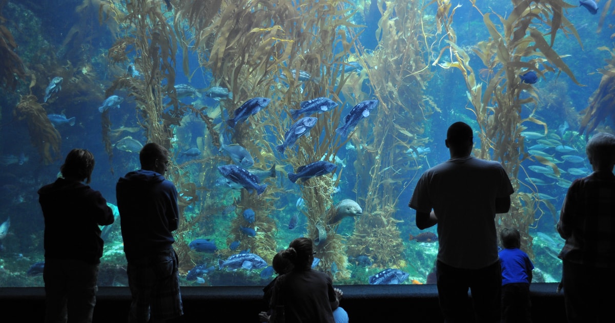 Birch Aquarium, San Diego Book Tickets & Tours