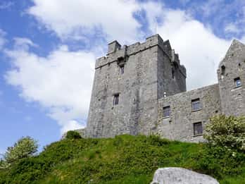 Passeios e Ingressos para a Castelo Dunguaire