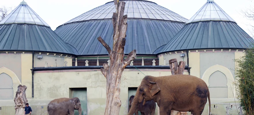Tierpark Hellabrunn