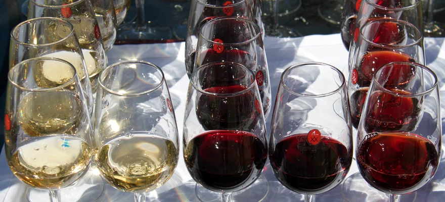 Port Wine Institute, Porto