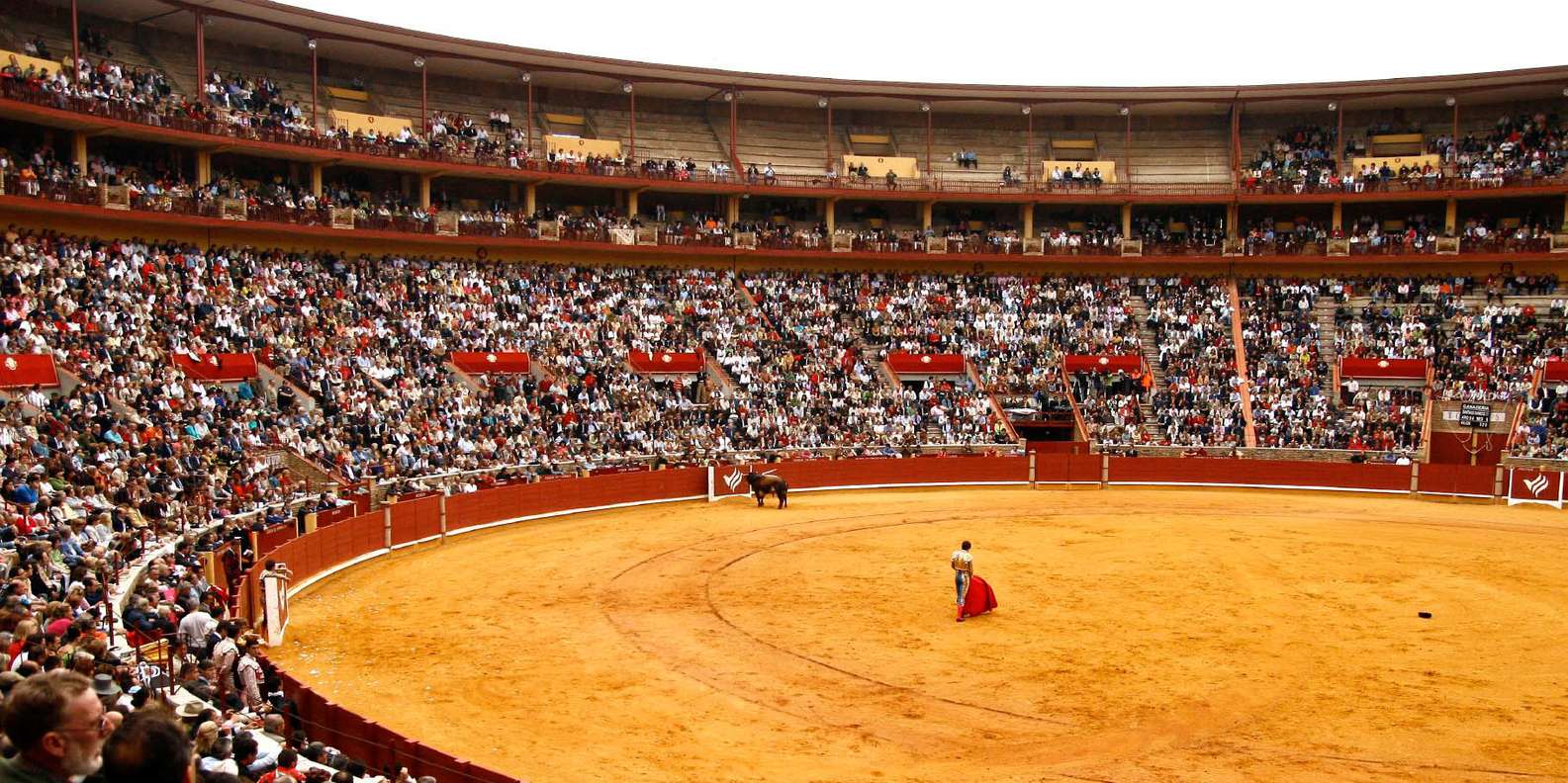 BESTE Aussichtspunkte Plaza de Toros Los Califas 2024 KOSTENLOS