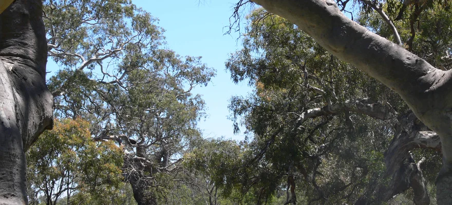 Woodlands Historic Park