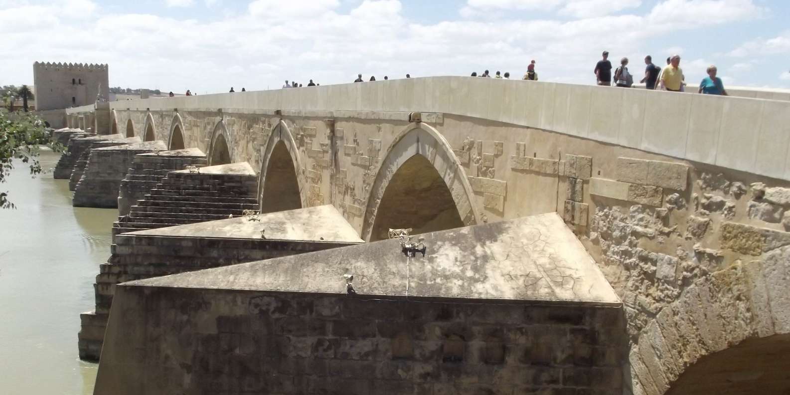 Pont Romain De Cordoue Visites De Parcs Et Jardins Le MEILLEUR De