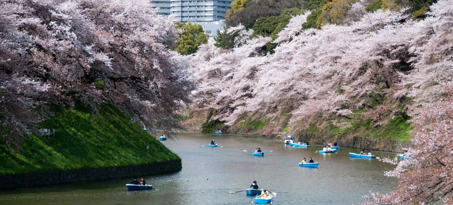 Paseo del Foso Chidorigafuchi Actividades: lo MEJOR de 2024 ...