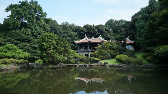 Shinjuku Gyoen National Garden Tokyo Book Tickets Tours Getyourguide Com