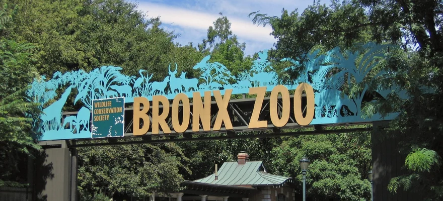 Bronx Zoo