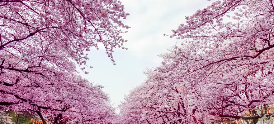 Parque Ueno