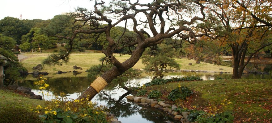 Hama-rikyū Gardens