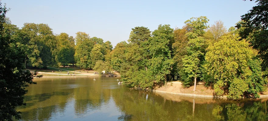 Bois de la Cambre