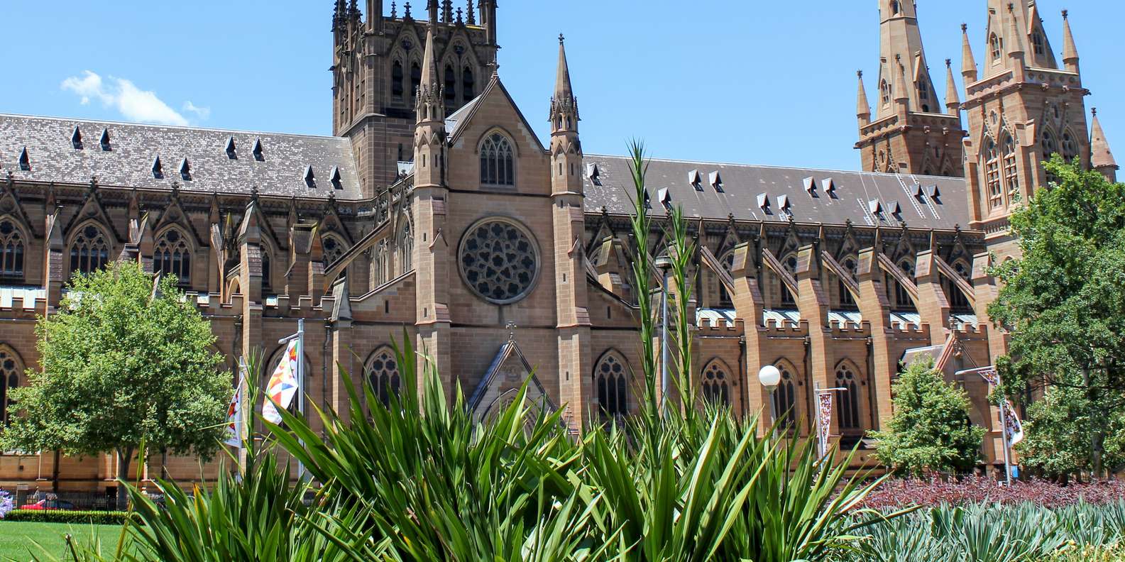 St. Mary's Cathedral, Sydney, Sydney - Book Tickets & Tours | GetYourGuide