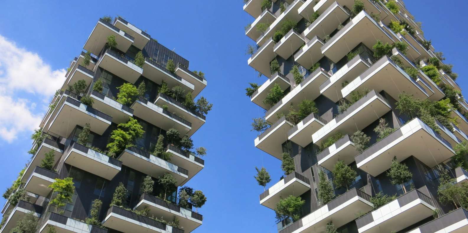 Beste F Hrungen Bosco Verticale Kostenlos Stornierbar Getyourguide