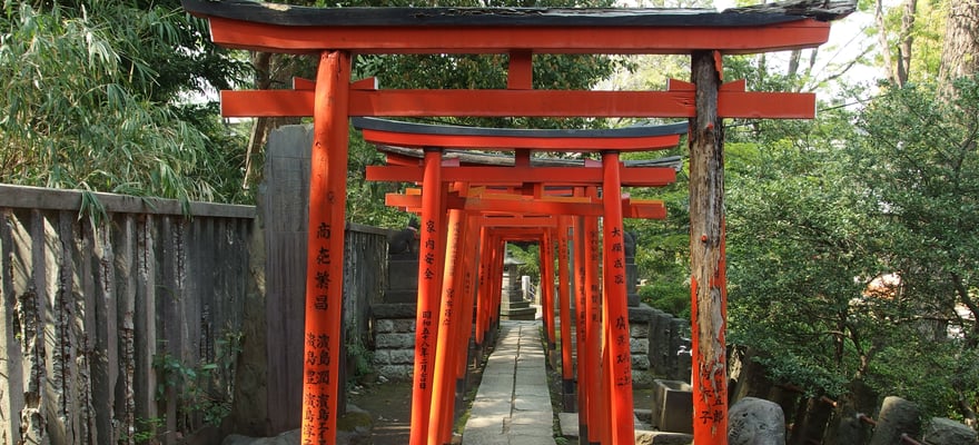 Nezu Shrine, Tokyo - Book Tickets & Tours | GetYourGuide