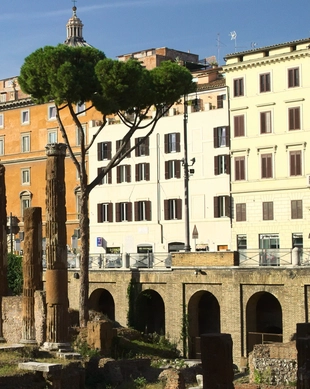 Largo di Torre Argentina, Rome Book Tickets Tours GetYourGuide - Main Image