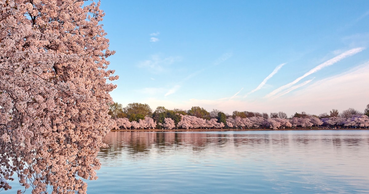 Tidal Basin, Washington, DC Book Tickets & Tours