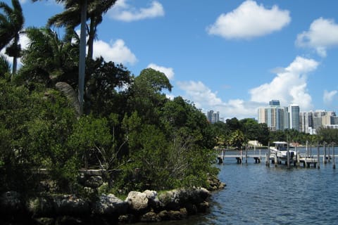 Coconut Grove