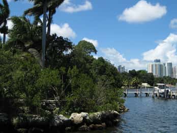 Coconut Grove Coconut Grove