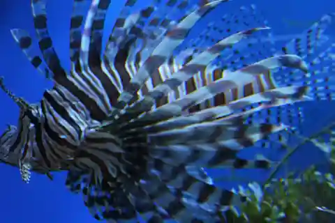 7. Aquarium de Séville