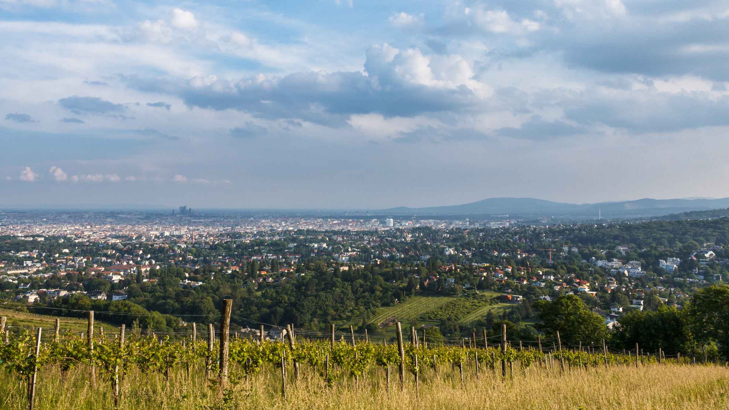 Kahlenberg, Wien Tickets & Eintrittskarten GetYourGuide