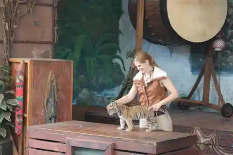 10. Jungle Island