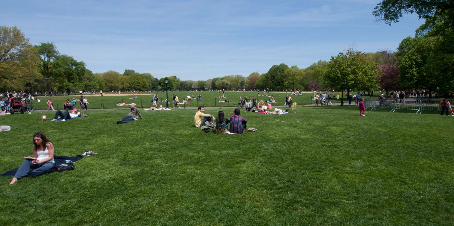 Great Lawn, New York City - Book Tickets & Tours | GetYourGuide