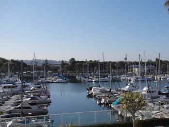 Tour e Biglietti per la Marina del Rey